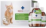 RECOACTIV Immun Tonicum für Katzen - 3 x 90 ml - Diät-Ergänzungsfuttermittel & Appetitanreger zur Anwendung bei Untergewicht, Mangelerscheinungen, gestörter Nahrungsaufnahme und in der Rekonvaleszenz