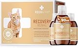 RECOACTIV Recovery Renal für Katzen, 3 x 90 ml, hochkalorisches Diät-Alleinfuttermittel bei Nierenfunktionsstörungen und erhöhtem Energiebedarf in der Rekonvaleszenz, zur Gewichtszunahme