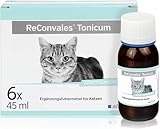 alfavet ReConvales Tonicum Katze, 6 x 45ml, appetitanregendes Ergänzungsfuttermittel zur Rekonvaleszenz und bei Untergewicht